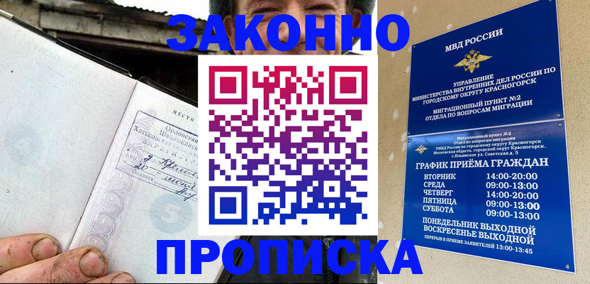 прописка гарантия в Щёлково